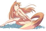  animal_ears bad_id bad_pixiv_id brown_hair flat_chest holo long_hair nipples nude p.k. red_eyes smile solo spice_and_wolf tail 