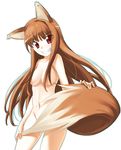  animal_ears breasts brown_hair chikugen_shiina holo long_hair nude red_eyes solo spice_and_wolf tail wolf_ears 