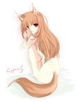  animal_ears cyprus holo long_hair nude solo spice_and_wolf tail wolf_ears 