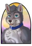  5_fingers anthro blue_collar canid canine canis cheek_tuft collar facial_tuft finger_claws fingers fluffy fur fur_tuft grey_body grey_ears grey_fur head_tuft hi_res kiba_(kiba32) looking_at_viewer male mammal open_mouth solo tongue tuft wolf zen 