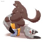  2020 absurd_res anthro belly black_body black_fur brown_body brown_fur butt canid canine canis clothing domestic_dog duo eyes_closed fur grey_body grey_fur hi_res humanoid_hands jumperbear kemono male mammal moobs nipples overweight overweight_male procyonid raccoon simple_background underwear white_background wrestling 