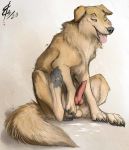  anal anal_masturbation anal_penetration anatomically_correct anatomically_correct_genitalia anatomically_correct_penis animal_genitalia animal_penis balls bodily_fluids canid canine canine_penis canis claws cum digitigrade dildo domestic_dog ejaculation erection fangs feral fur genital_fluids genitals hindpaw knot lizet male mammal masturbation orgasm pawpads paws penetration penis sex_toy solo tan_body tan_fur 