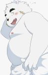 2018 anthro barely_visible_genitalia barely_visible_penis belly blush fur genitals hi_res humanoid_hands kemono male mammal moobs nipples overweight overweight_male penis polar_bear samodora1030 simple_background solo towel ursid ursine white_background white_body white_fur 
