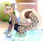  clothing felid female hi_res luxarman mammal one-piece_swimsuit orio_(character) pantherine snow_leopard swimwear 