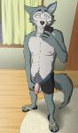 anthro balls beastars biped canid canine canis cellphone clothed clothing footwear fur genitals glans grey_body grey_fur hi_res humanoid_genitalia humanoid_penis inside legoshi_(beastars) looking_at_viewer male mammal mazedmarten nipples penis phone presenting presenting_penis pubes selfie solo standing wolf 