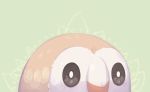  bird bird_focus black_eyes commentary creature english_commentary eyes gen_7_pokemon green_background louveo no_humans pokemon pokemon_(creature) rowlet simple_background solo sparkle 