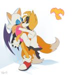  against_wall canid canine chiropteran feliscede female fox held_up holding_butt hug kissing male mammal miles_prower passionate_kiss rouge_the_bat simple_background sonic_the_hedgehog_(series) 