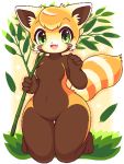  2020 3:4 ailurid aliasing anthro bamboo blush breasts brown_body brown_fur featureless_breasts female full-length_portrait fur green_eyes head_tuft holding_object kneeling leaf low_res mammal markings orange_body orange_fur portrait red_panda small_breasts solo takiune_(pixiv) thick_thighs tuft whiskers white_markings wide_hips 
