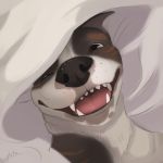  1:1 2020 antanariva brown_body brown_eyes brown_fur canid canine canis digital_media_(artwork) domestic_dog fur headshot_portrait icon mammal open_mouth portrait smile teeth tongue 