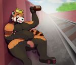  absurd_res ailurid anthro azrealm1 drunk genitals hi_res male mammal paws penis red_panda slightly_chubby solo substance_intoxication uncut 
