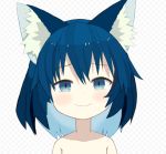  1girl animal_ear_fluff animal_ears bangs blue_eyes blue_hair blush checkered checkered_background closed_mouth collarbone commentary_request eyebrows_visible_through_hair hair_between_eyes long_hair looking_at_viewer original pappii_(paprika_shikiso) paprika_shikiso smile solo upper_body 