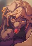  anthro bangs breasts brown_body brown_eyes brown_fur brown_hair candy canid canine canis clothed clothing domestic_dog eyewear female food fur glasses hair hanadaiteol highlights_(coloring) kemono licking lollipop mammal solo tongue tongue_out 