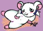  bijou hamtaro tagme 