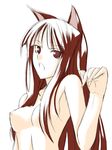  animal_ears breasts holo long_hair medium_breasts nude ribi solo spice_and_wolf wolf_ears 