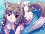  animal_ears breasts brown_hair fang fujirin holo long_hair medium_breasts nipples nude red_eyes snow solo spice_and_wolf tail wolf_ears 