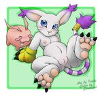  digimon gatomon tagme tokomon 