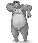  anthro balls baloo belly big_belly clothing disney erection explicit_content fur genitals hat hat_only headgear headwear looking_at_viewer male mammal monochrome mostly_nude nipples overweight penis rpique samael_morningstar simple_background solo talespin ursid white_background 
