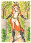  anthro breasts canid canine female flower forest fox fur grass hi_res looking_at_viewer mammal multicolored_body multicolored_fur nipples nude plant red_body red_fur rock solo standing syntech tree white_body white_fur 