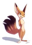  2016 absurd_res anthro brown_body brown_fur canid canine cider_(ciderbunart) featureless_crotch female fennec fox full-length_portrait fur hands_behind_back hi_res mammal multi_tail nude open_mouth open_smile pointedfox portrait simple_background smile solo standing teeth white_background 