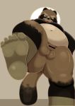  2020 balls belly brown_body brown_fur canid canine feet flaccid fur genitals hi_res hisashiyo_0705 kemono male mammal moobs overweight overweight_male penis raccoon_dog small_penis tanuki 