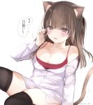  animal_ears bra cleavage dress_shirt nekomimi open_shirt tail thighhighs yukari_(rihenara_doll) 