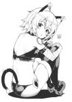  1girl animal_ears arm_belt back bandaged_arm bandages bangs bare_shoulders blush breasts cat_ears cat_tail crop_top facial_scar fate/apocrypha fate_(series) fingerless_gloves gloves greyscale hair_between_eyes highres jack_the_ripper_(fate/apocrypha) knees_up looking_at_viewer looking_back lowleg lowleg_panties monochrome open_mouth panties paw_print scar scar_across_eye scar_on_cheek short_hair shoulder_tattoo simple_background single_glove sitting small_breasts sumisu_(mondo) tail tattoo thighhighs underwear white_background 