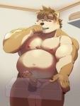  2020 anthro balls belly blush brown_body brown_fur brush brushing brushing_teeth canid canine canis domestic_dog erection fur genitals hi_res humanoid_genitalia humanoid_hands humanoid_penis kemono launcher_r male mammal moobs navel nipples overweight overweight_male penis solo 