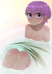 1girl bangs bath bathing bathtub blush breasts closed_mouth collarbone dark_skin eyebrows_visible_through_hair fate/prototype fate/prototype:_fragments_of_blue_and_silver fate_(series) hair_between_eyes hassan_of_serenity_(fate) highres i.u.y indoors knees_up nude partially_submerged purple_eyes purple_hair small_breasts smile solo tile_wall tiles water wet wet_hair 