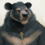  2019 anthro black_bear black_body black_fur black_nose cariboops fur hi_res mammal moon_bear multicolored_body multicolored_fur overweight portrait simple_background solo teeth two_tone_body two_tone_fur ursid ursine white_background 