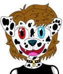  anthro blue_eyes brown_hair canid canine canis collar dalmatian dog_tags domestic_dog fangs fur hair heterochromia male mammal pawprint_marking princehatter3945 profile_picture red_eyes smile solo spots spotted_body spotted_fur star unknown_artist 