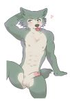  absurd_res anthro balls beastars blush canid canine canis erection front_view fur genitals grey_body grey_fur hi_res humanoid_genitalia humanoid_penis legoshi_(beastars) male mammal miidew multicolored_body multicolored_fur muscular muscular_male nipples nude penis scar seductive simple_background solo tongue tongue_out two_tone_body two_tone_fur white_background wolf 