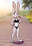  2020 anthro beach bikini blurred_background buckteeth carrot_pen clothed clothing depth_of_field detailed_background disney fabio_paulino female fur grey_body grey_fur hand_on_hip hi_res holding_object judy_hopps lagomorph leporid mammal navel open_mouth open_smile outside palm_tree pink_nose rabbit sand sea seaside sky smile solo standing swimwear teeth tree water whiskers white_body white_fur zootopia 