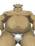  2011 3:4 anthro asian_clothing belly blush brown_body brown_fur bulge clothing east_asian_clothing fundoshi fur humanoid_hands japanese_clothing kemono male mammal moobs navel nipples overweight overweight_male simple_background solo underwear ursid white_background yanaka 
