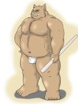  2011 3:4 anthro asian_clothing belly brown_body brown_fur bulge clothing east_asian_clothing fundoshi fur humanoid_hands japanese_clothing kemono male mammal moobs navel nipples overweight overweight_male simple_background solo suid suina sus_(pig) underwear wild_boar yanaka 