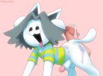  anthro bottomless bunny_nebula clothed clothing disembodied_penis duo genitals hair human male mammal penis shirt simple_background tem temmie_(undertale) tongue tongue_out topwear undertale video_games white_body 
