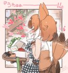  1girl animal_ears bare_shoulders blush brown_skirt brown_vest closed_eyes commentary_request dhole_(kemono_friends) dog_ears dog_girl dog_tail extra_ears fanta_(the_banana_pistols) gift gloves happy heart highres kemono_friends kemono_friends_3 light_brown_hair multicolored_hair note open_mouth pleated_skirt short_hair skirt sleeveless solo tail tail_wagging translation_request vest white_gloves white_hair 