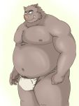 2013 3:4 anthro belly brown_body bulge clothing humanoid_hands kemono male mammal moobs navel nipples overweight overweight_male simple_background solo suid suina sus_(pig) underwear wild_boar yanaka 