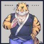  2019 anthro belly bottomwear clothing felid humanoid_hands japanese_text male mammal overweight overweight_male pantherine pants pink_nose rpbbw solo teeth text the_spicy_ninja_scrolls tiger 