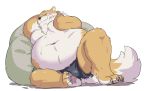  2020 anthro belly blush bulge canid canine canis clothing domestic_dog fur kemono male mammal overweight overweight_male pukkunnnn simple_background sitting solo underwear white_background white_body white_fur 