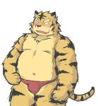  2010 anthro belly blush bulge clothing felid kemono kui male mammal navel overweight overweight_male pantherine simple_background solo tiger underwear white_background 