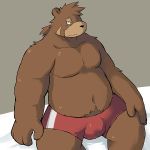  1:1 2012 anthro black_nose brown_body brown_fur bulge clothing fur humanoid_hands kui male mammal overweight overweight_male sitting solo underwear ursid 