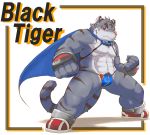  2010 anthro barazoku build_tiger bulge clothing cosplay felid humanoid_hands kisukemk777 male mammal muscular pantherine solo text tiger underwear 