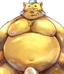  2020 absurd_res anthro belly brown_body brown_fur chiro_(artist) clothing erection erection_under_clothing fur gouryou hi_res humanoid_hands kemono male mammal moobs nipples obese overweight overweight_male simple_background solo suid suina sus_(pig) tokyo_afterschool_summoners video_games white_background wild_boar 