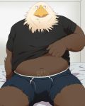  2015 anthro avian bed belly brown_body bulge chizu clothed clothing furniture hi_res humanoid_hands kemono male navel open_shirt overweight overweight_male shirt sitting solo topwear underwear 