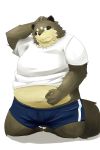  2010 2:3 anthro belly brown_body brown_fur canid canine chizu clothing fur hi_res humanoid_hands kemono male mammal navel overweight overweight_male raccoon_dog shirt short simple_background solo tanuki topwear white_background 