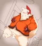  2010 anthro belly blush clothing fur genitals kemono male nintendo overweight overweight_male penis pok&eacute;mon pok&eacute;mon_(species) red_body red_fur shirt solo starjet topwear video_games white_body white_fur zangoose 