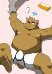  2010 anthro belly blush brown_body brown_fur bulge canid canine clothing condom fur hasukichi kemono lying male mammal moobs nipples overweight overweight_male sexual_barrier_device solo_focus underwear 