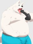  2019 anthro belly canid canine canis chizu clothing dildo domestic_dog fur hi_res humanoid_hands kemono male mammal moobs navel nipples overweight overweight_male sex_toy simple_background solo tongue tongue_out underwear white_body white_fur 