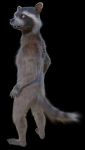  3d_(artwork) anthro digital_media_(artwork) disney guardians_of_the_galaxy hi_res male mammal marvel mcu nude procyonid raccoon rocket_raccoon rockyrcoon solo 