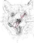 ambiguous_gender anthro canid canine fox greyscale hi_res male mammal missing_eye monochrome realistic signature simple_background sketch smile solo therealoraclefox tongue tongue_out white_background 